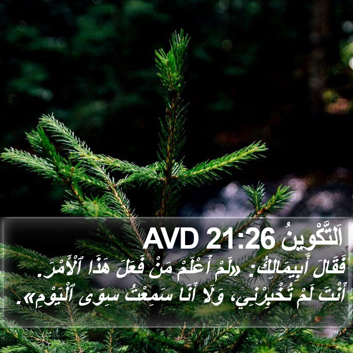 اَلتَّكْوِينُ 21:26 AVD Bible Study