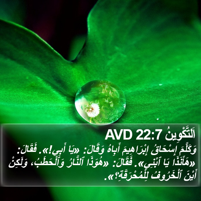 اَلتَّكْوِينُ 22:7 AVD Bible Study