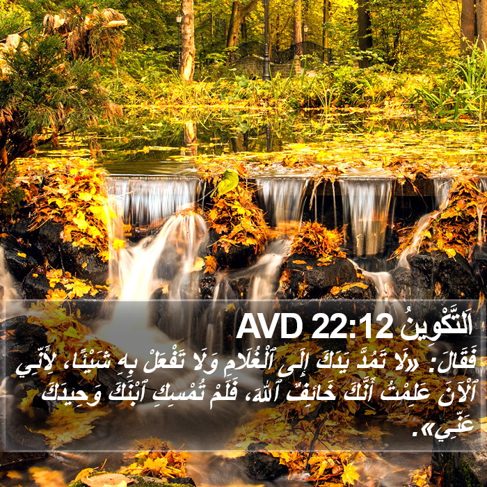 اَلتَّكْوِينُ 22:12 AVD Bible Study