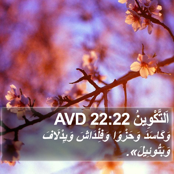 اَلتَّكْوِينُ 22:22 AVD Bible Study