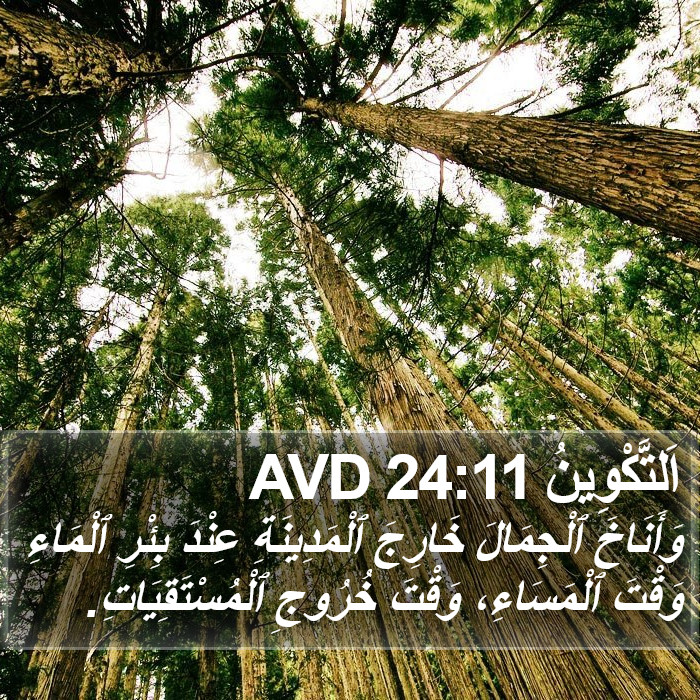 اَلتَّكْوِينُ 24:11 AVD Bible Study