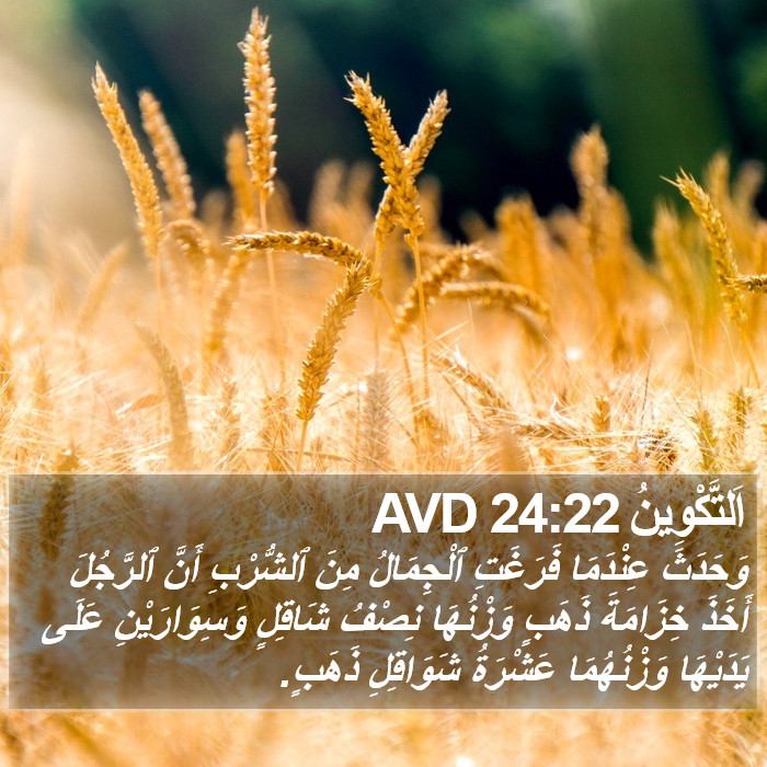 اَلتَّكْوِينُ 24:22 AVD Bible Study