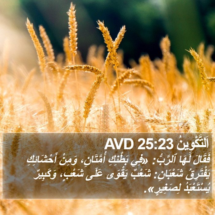 اَلتَّكْوِينُ 25:23 AVD Bible Study