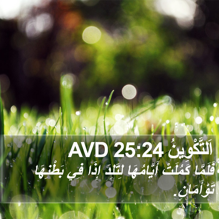 اَلتَّكْوِينُ 25:24 AVD Bible Study