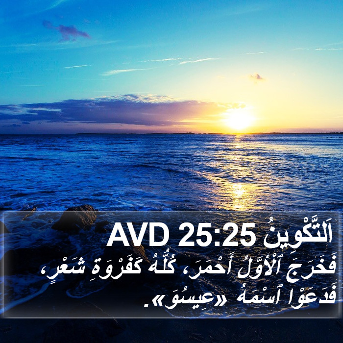 اَلتَّكْوِينُ 25:25 AVD Bible Study