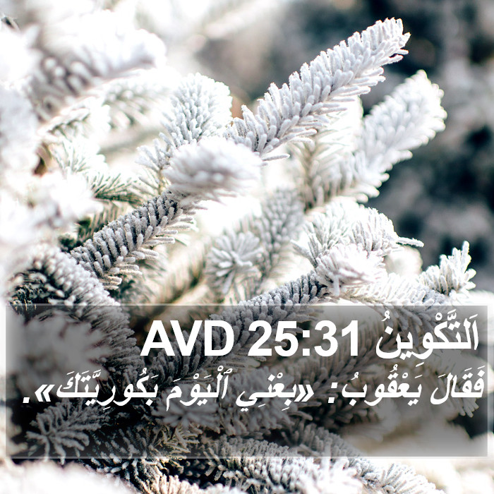 اَلتَّكْوِينُ 25:31 AVD Bible Study