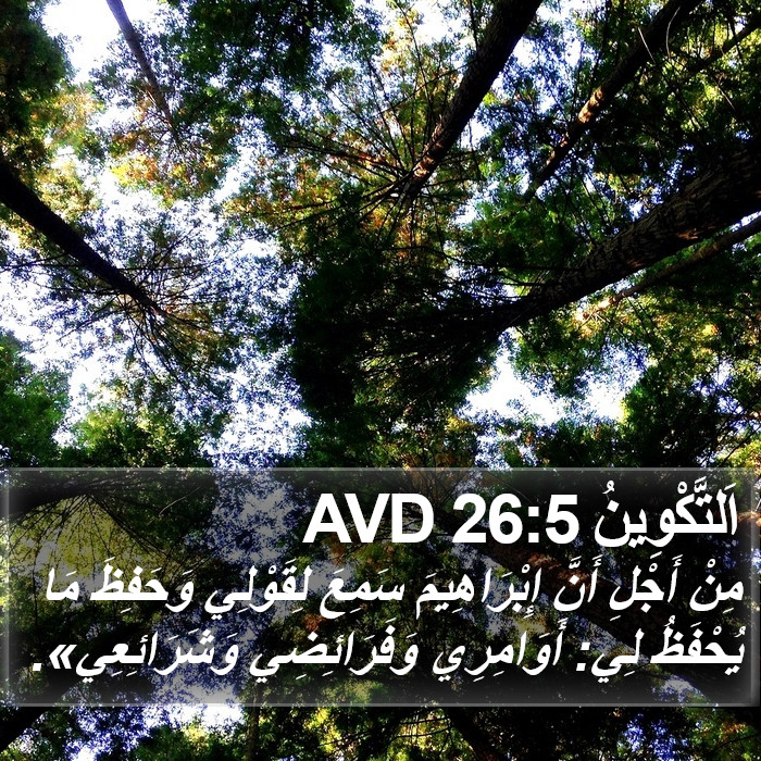 اَلتَّكْوِينُ 26:5 AVD Bible Study