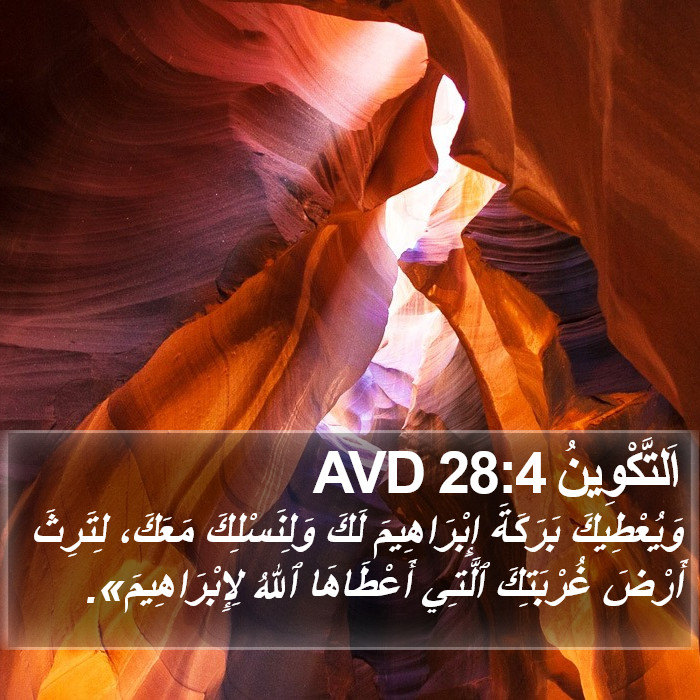 اَلتَّكْوِينُ 28:4 AVD Bible Study