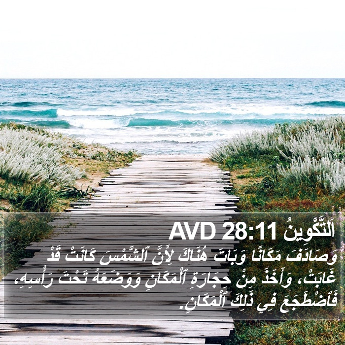اَلتَّكْوِينُ 28:11 AVD Bible Study