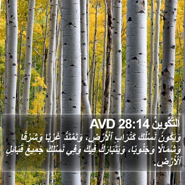 اَلتَّكْوِينُ 28:14 AVD Bible Study