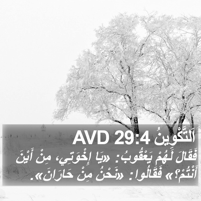 اَلتَّكْوِينُ 29:4 AVD Bible Study