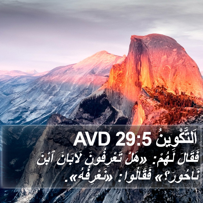 اَلتَّكْوِينُ 29:5 AVD Bible Study