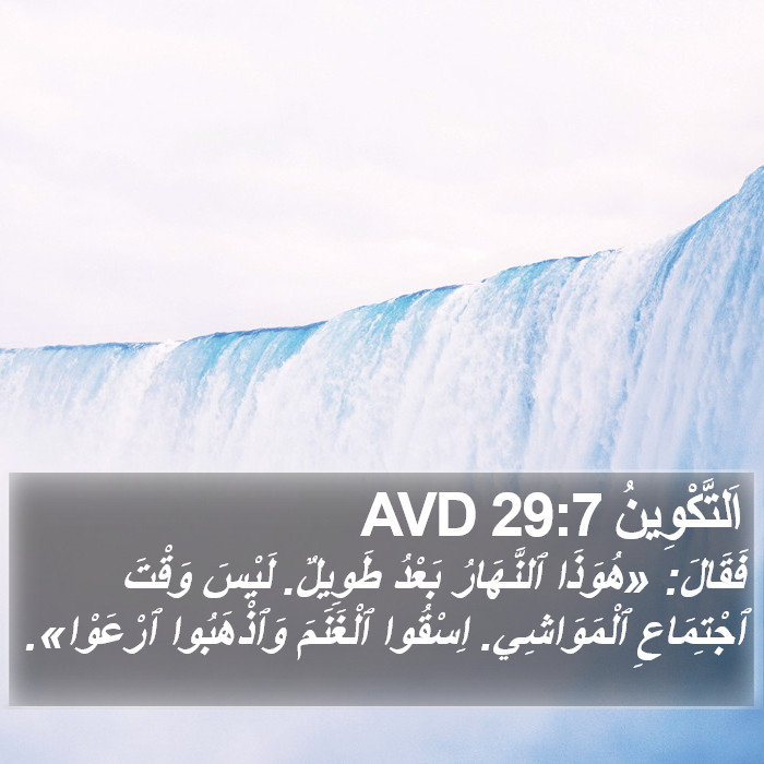 اَلتَّكْوِينُ 29:7 AVD Bible Study