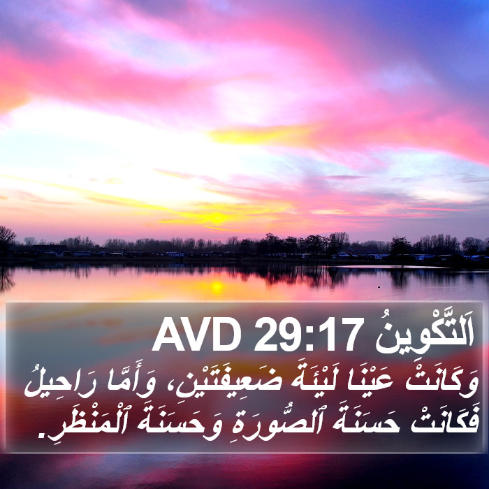 اَلتَّكْوِينُ 29:17 AVD Bible Study