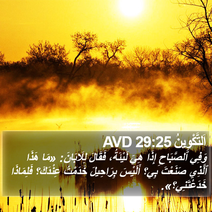 اَلتَّكْوِينُ 29:25 AVD Bible Study