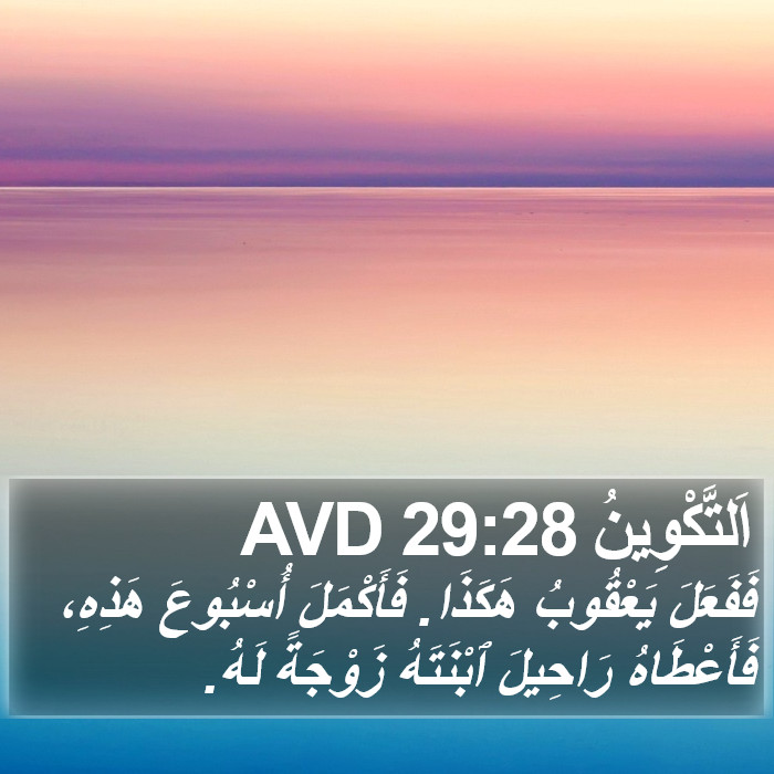اَلتَّكْوِينُ 29:28 AVD Bible Study