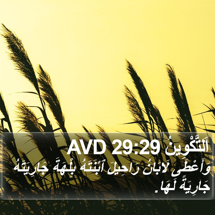 اَلتَّكْوِينُ 29:29 AVD Bible Study