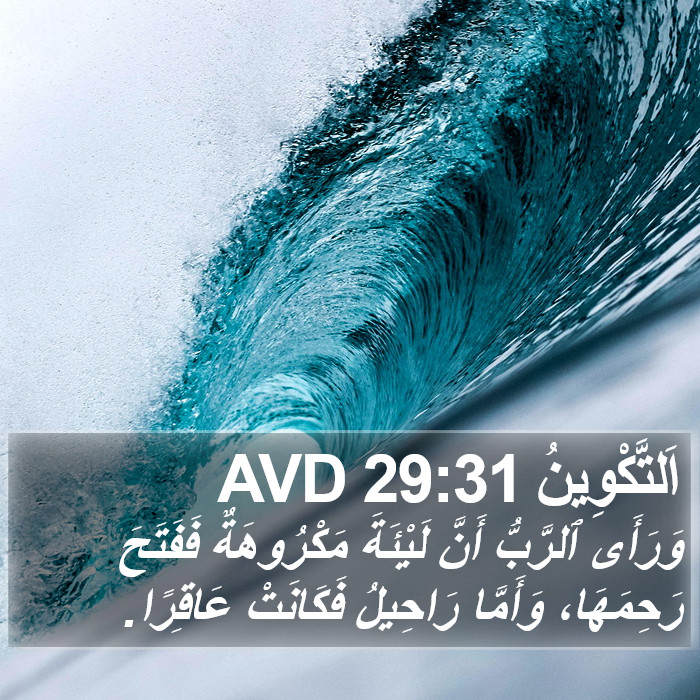 اَلتَّكْوِينُ 29:31 AVD Bible Study