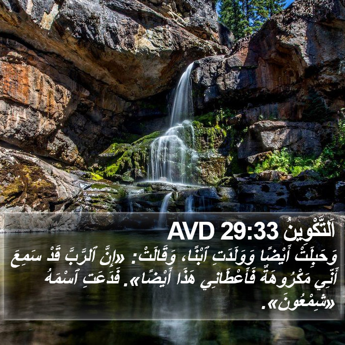 اَلتَّكْوِينُ 29:33 AVD Bible Study