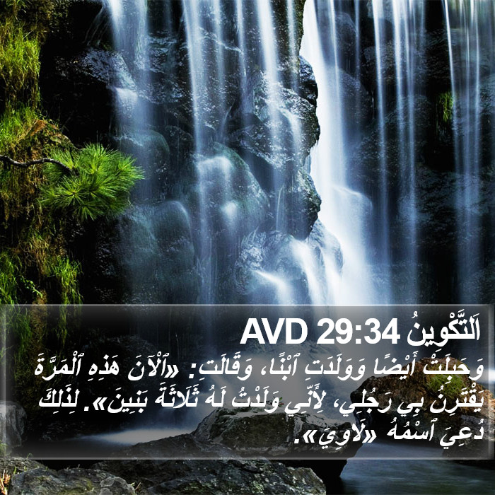 اَلتَّكْوِينُ 29:34 AVD Bible Study
