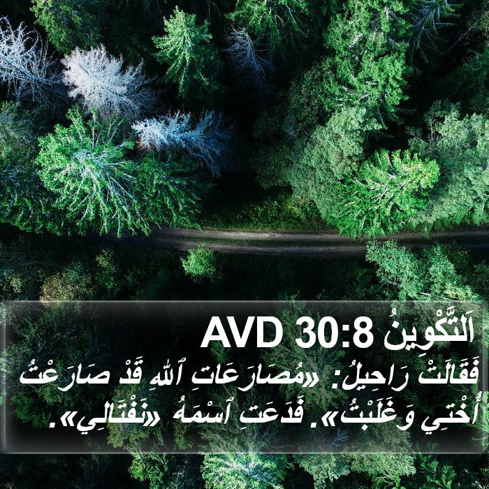 اَلتَّكْوِينُ 30:8 AVD Bible Study