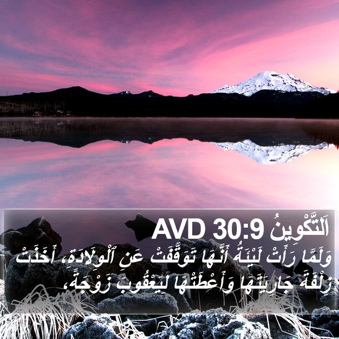 اَلتَّكْوِينُ 30:9 AVD Bible Study