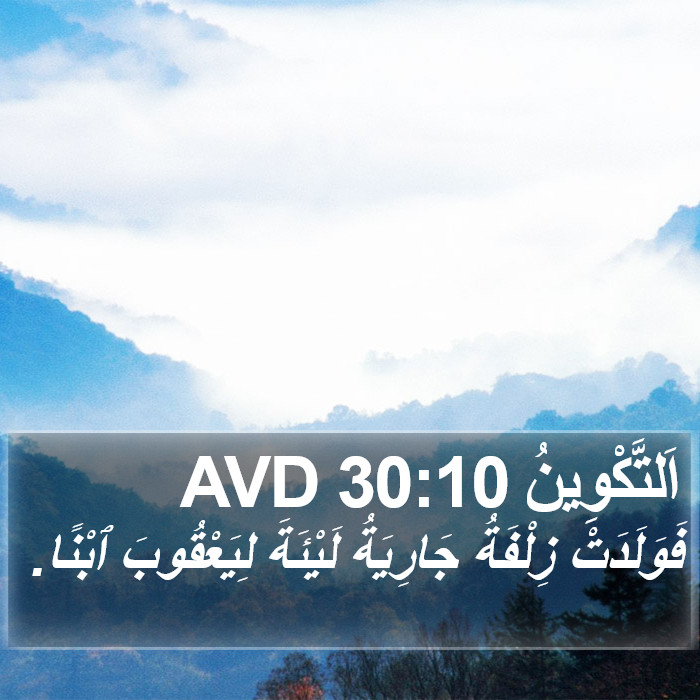 اَلتَّكْوِينُ 30:10 AVD Bible Study