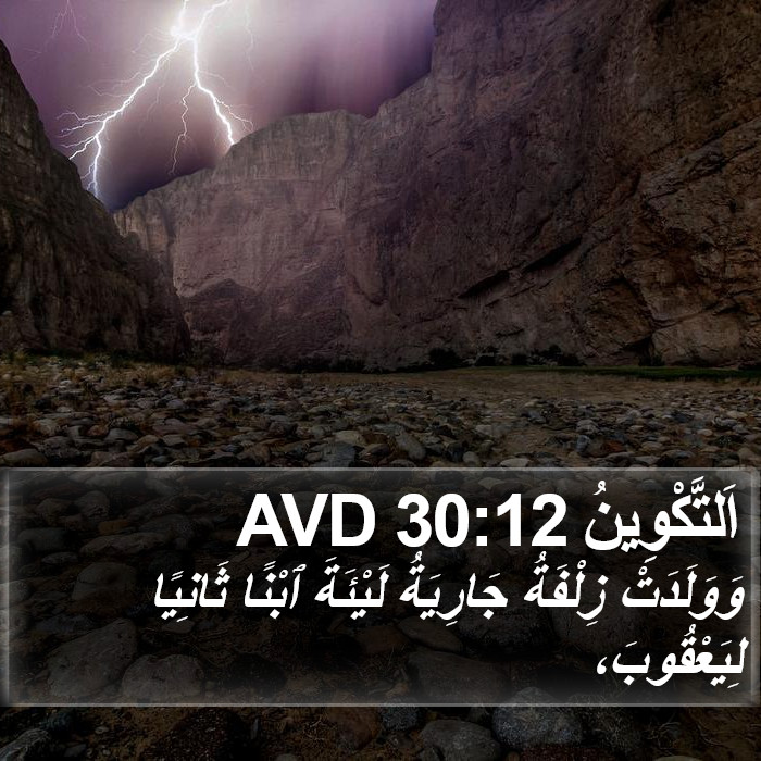 اَلتَّكْوِينُ 30:12 AVD Bible Study