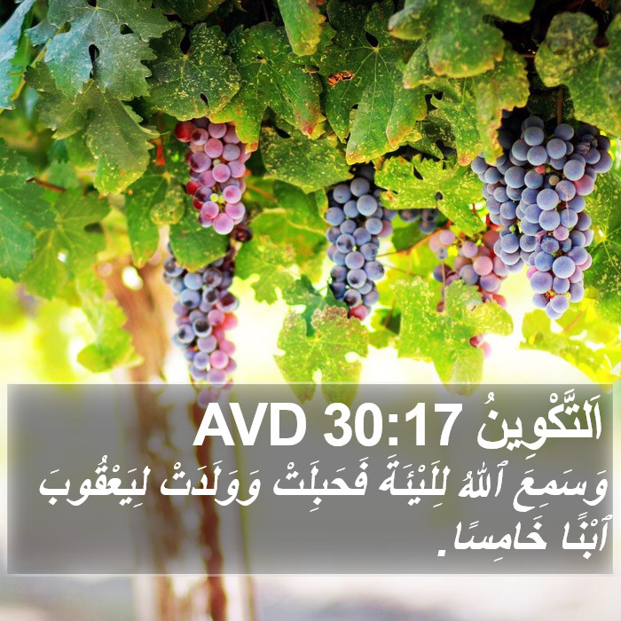 اَلتَّكْوِينُ 30:17 AVD Bible Study