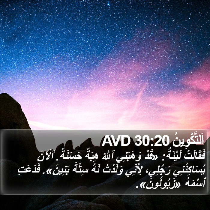 اَلتَّكْوِينُ 30:20 AVD Bible Study