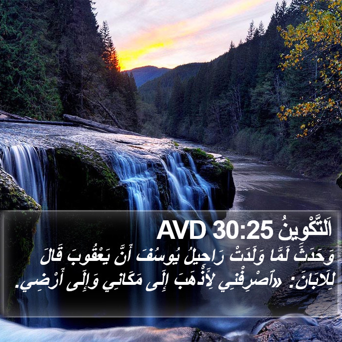 اَلتَّكْوِينُ 30:25 AVD Bible Study