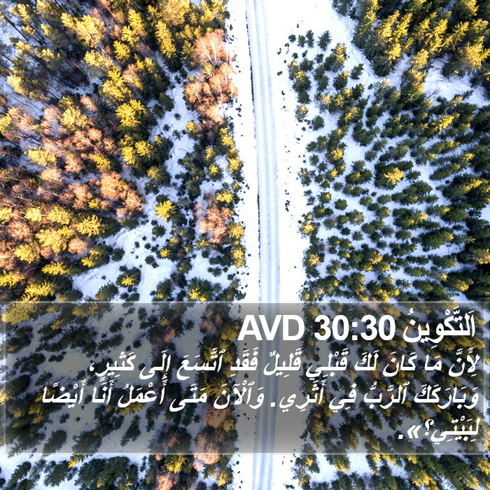 اَلتَّكْوِينُ 30:30 AVD Bible Study