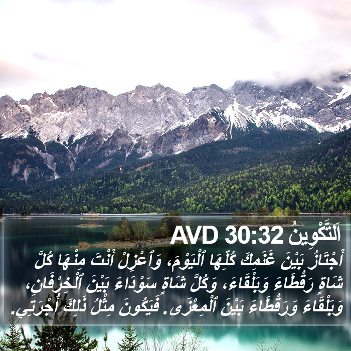 اَلتَّكْوِينُ 30:32 AVD Bible Study