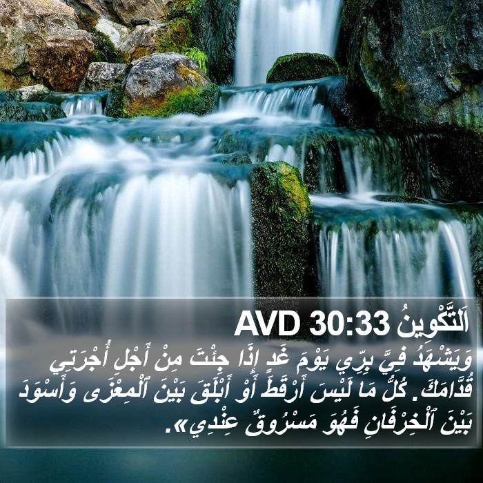 اَلتَّكْوِينُ 30:33 AVD Bible Study