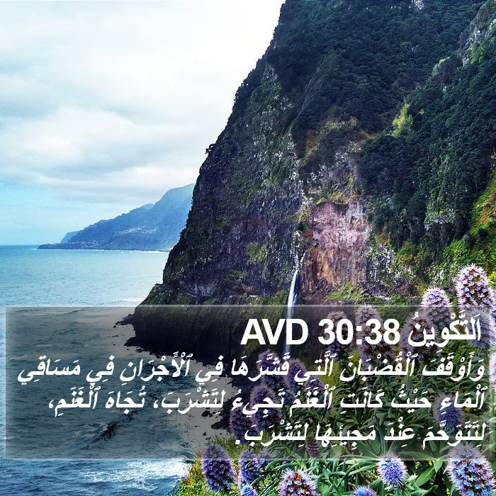 اَلتَّكْوِينُ 30:38 AVD Bible Study