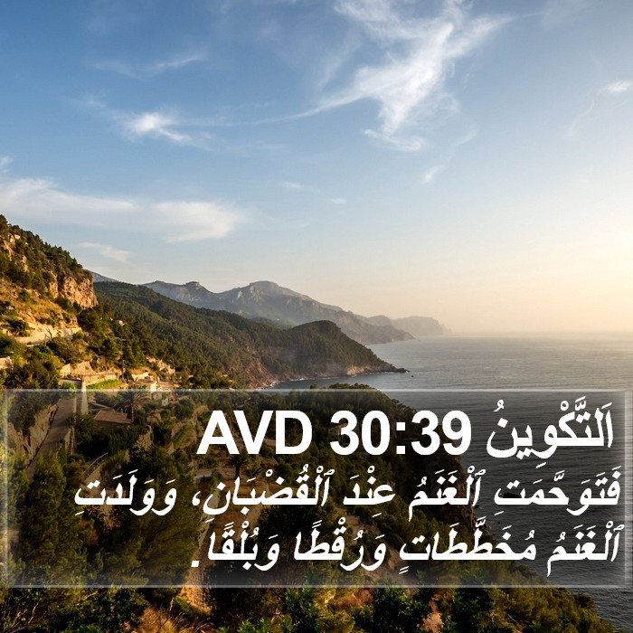 اَلتَّكْوِينُ 30:39 AVD Bible Study