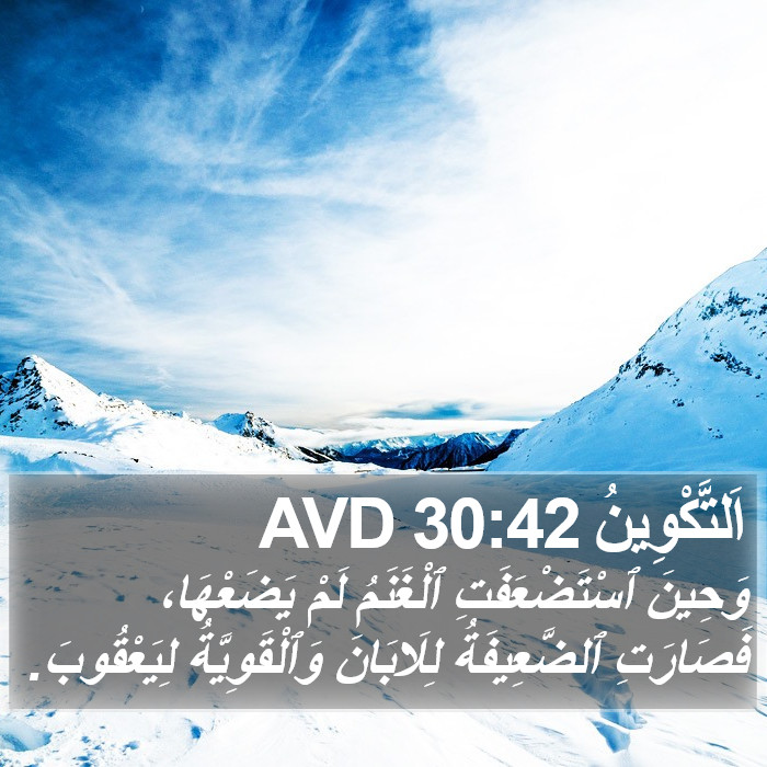 اَلتَّكْوِينُ 30:42 AVD Bible Study