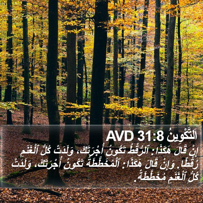 اَلتَّكْوِينُ 31:8 AVD Bible Study