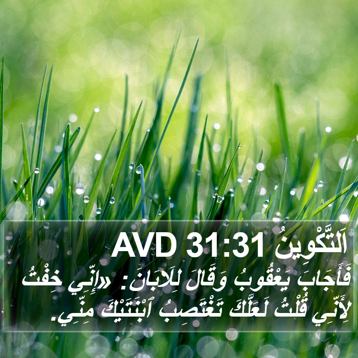 اَلتَّكْوِينُ 31:31 AVD Bible Study