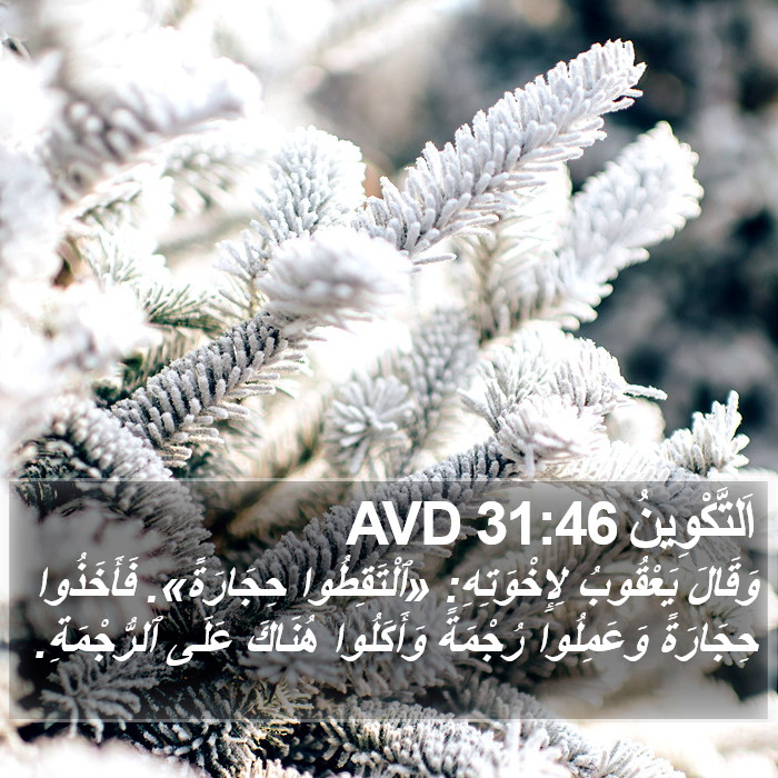 اَلتَّكْوِينُ 31:46 AVD Bible Study