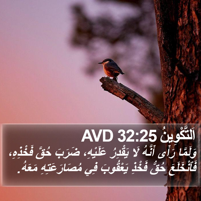 اَلتَّكْوِينُ 32:25 AVD Bible Study