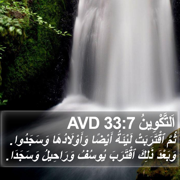 اَلتَّكْوِينُ 33:7 AVD Bible Study