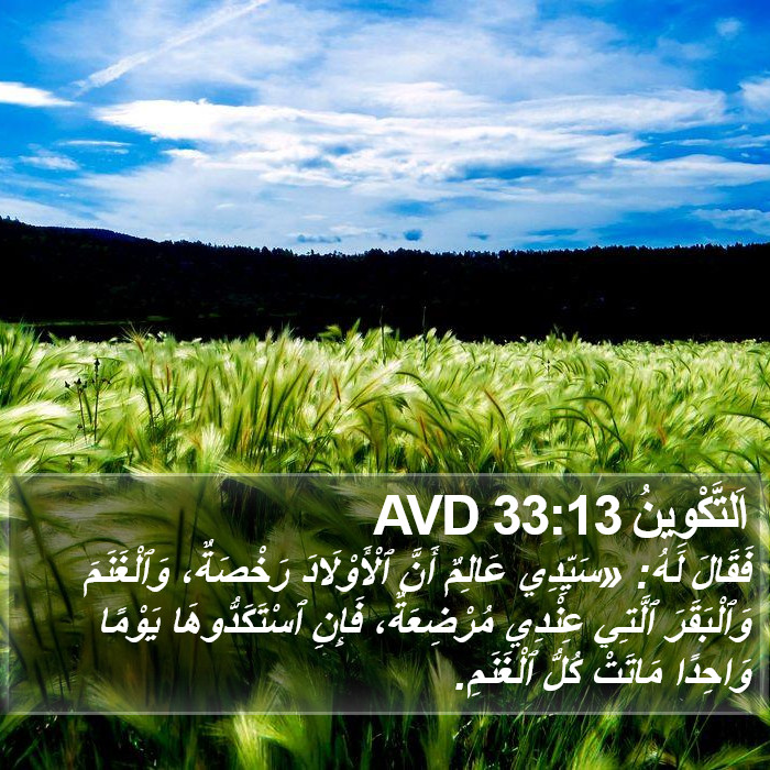 اَلتَّكْوِينُ 33:13 AVD Bible Study