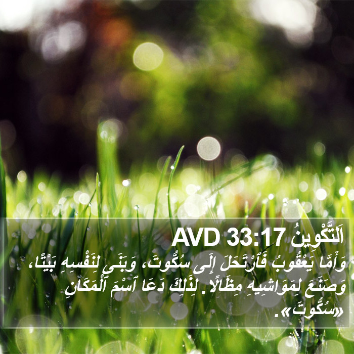 اَلتَّكْوِينُ 33:17 AVD Bible Study