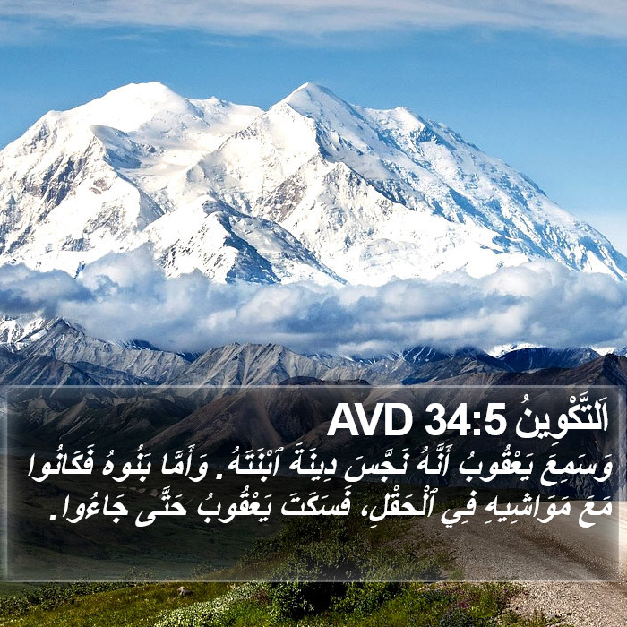 اَلتَّكْوِينُ 34:5 AVD Bible Study