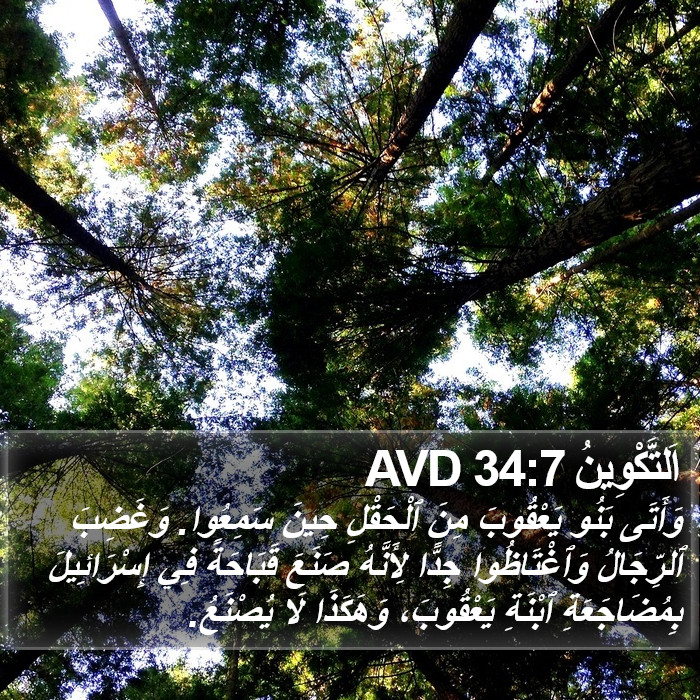 اَلتَّكْوِينُ 34:7 AVD Bible Study