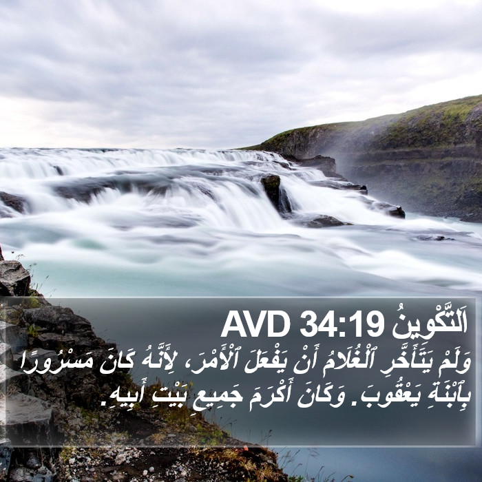 اَلتَّكْوِينُ 34:19 AVD Bible Study