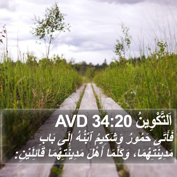 اَلتَّكْوِينُ 34:20 AVD Bible Study