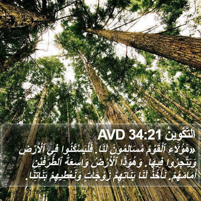 اَلتَّكْوِينُ 34:21 AVD Bible Study