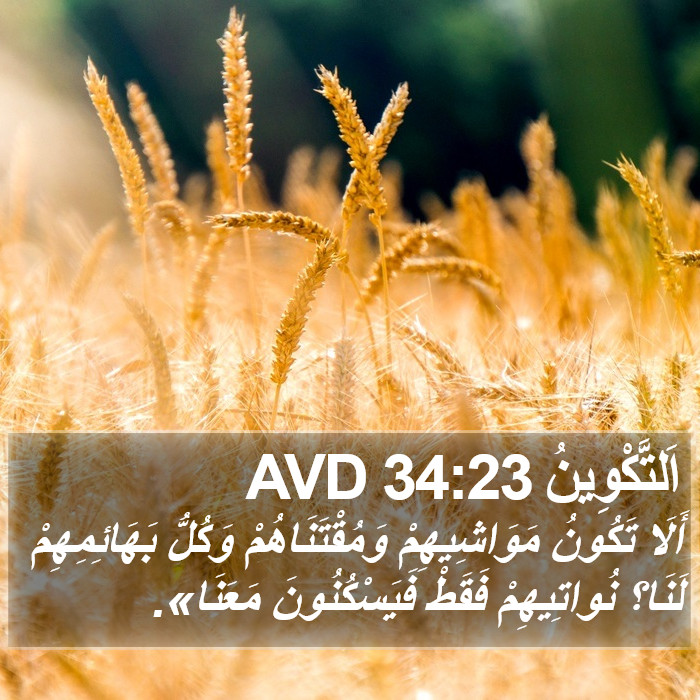 اَلتَّكْوِينُ 34:23 AVD Bible Study